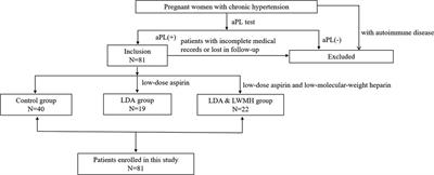 Maternal and perinatal outcomes of low-dose aspirin plus low-molecular-weight heparin therapy on antiphospholipid antibody-positive pregnant women with chronic hypertension